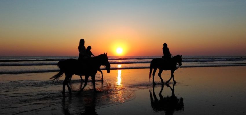 Horse back riding taghazout holiday surf star morocco