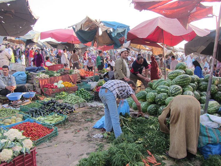 Buying Tagines and Exploring the Souk with Surf Star Morocco 